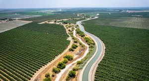 Growing Threats: How Climate Change Will Exacerbate Agriculture’s Environmental Impacts 1