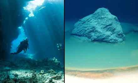 Scientists Make a Startling Deep-Sea Discovery at the Bottom of the Red Sea