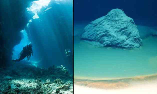 Scientists Make a Startling Deep-Sea Discovery at the Bottom of the Red Sea