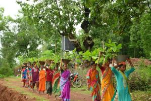 National Wildlife Day: Over 2 lakh trees to be planted this year to enhance the habitat of black tigers in Odisha 3
