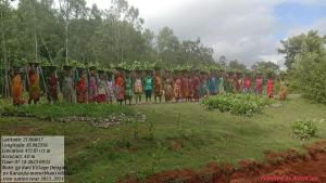 National Wildlife Day: Over 2 lakh trees to be planted this year to enhance the habitat of black tigers in Odisha 1