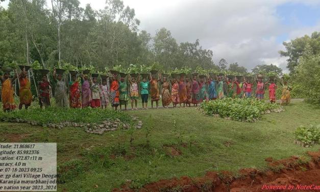 National Wildlife Day: Over 2 lakh trees to be planted this year to enhance the habitat of black tigers in Odisha