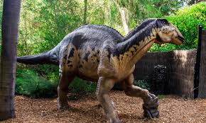 Collagen discovered in 70 million-year-old dinosaur fossil