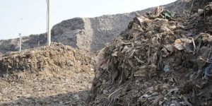 Leaching Landfills, Frothing Rivers, Unbreathable Air: Delhi's Many Environmental Concerns as Poll Day Nears 1