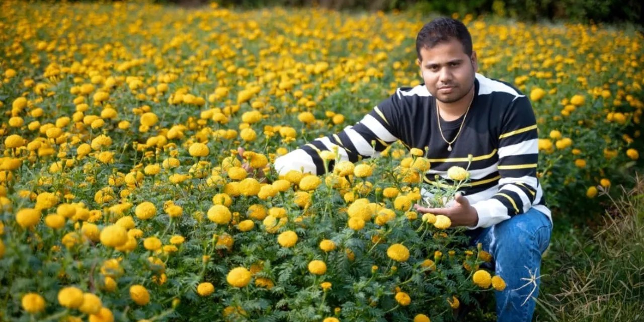 College Dropout Turns Marigold Farmer, Sells 4 Crore Seedlings/Year