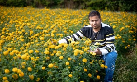 College Dropout Turns Marigold Farmer, Sells 4 Crore Seedlings/Year