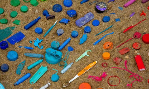 Microbial Maestros: Can Bacteria Solve Our Plastic Problem?