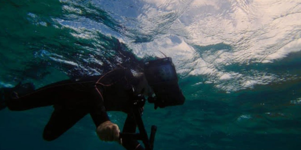 Samsung takes a step forward in coral reef restoration