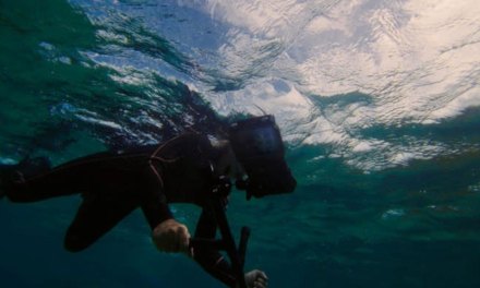 Samsung takes a step forward in coral reef restoration