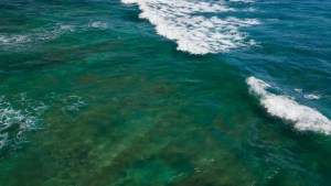 Earth's Strongest Ocean Current Is Slowing Down And It Could Have Devastating Consequences 1