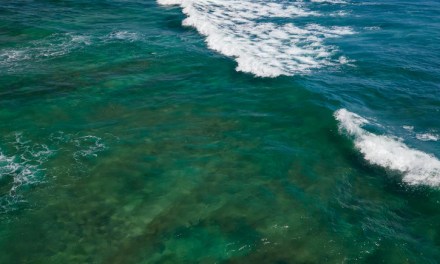 Earth’s Strongest Ocean Current Is Slowing Down And It Could Have Devastating Consequences