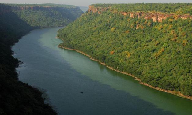 For children: How infertile lands in the Chambal basin helped biodiversity flourish