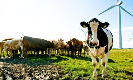 Low carbon farming ‘essential’ for climate goals