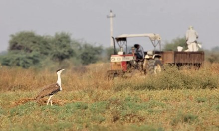 India needs a biodiversity approach to conservation