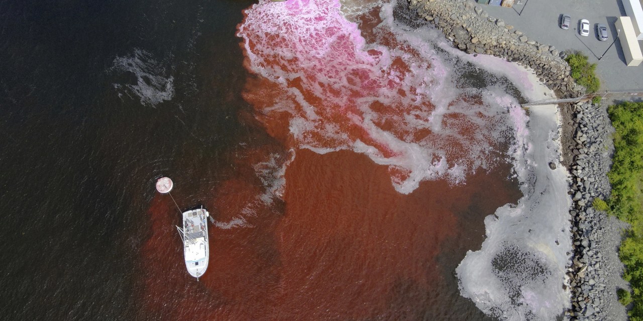 Ocean dumping – or a climate solution? A growing industry bets on the ocean to capture carbon