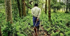 Forest Rights Act: A new dawn 1