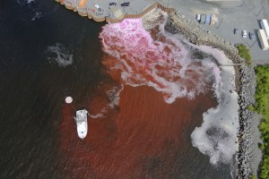 Ocean dumping – or a climate solution? A growing industry bets on the ocean to capture carbon 1