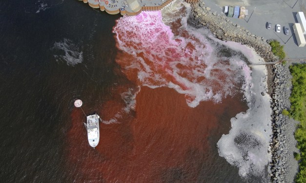 Ocean dumping – or a climate solution? A growing industry bets on the ocean to capture carbon