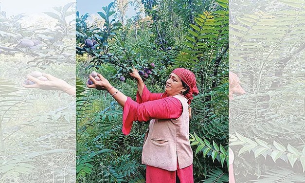 How Anita Negi’s Natural Farming Revolution Is Empowering Women