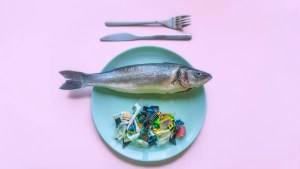 10 Common Foods With Microplastics and Ways to Reduce Exposure 1 10 Common Foods With Microplastics and Ways to Reduce Exposure 1