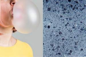 Chewing Gum Releases Thousands of Microplastics Into Our Saliva, Researchers Find 1 Chewing Gum Releases Thousands of Microplastics Into Our Saliva, Researchers Find 1