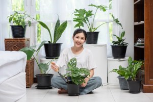 20 indoor plants that purify the air and refresh the space - let your home and soul breathe! 1