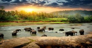 Underrated Wildlife Sanctuaries in India That Need to be on Your 2025 Bucket List 1