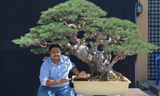Small canvas, big dreams: In Howrah, a bonsai master is quietly trying to make trees immortal