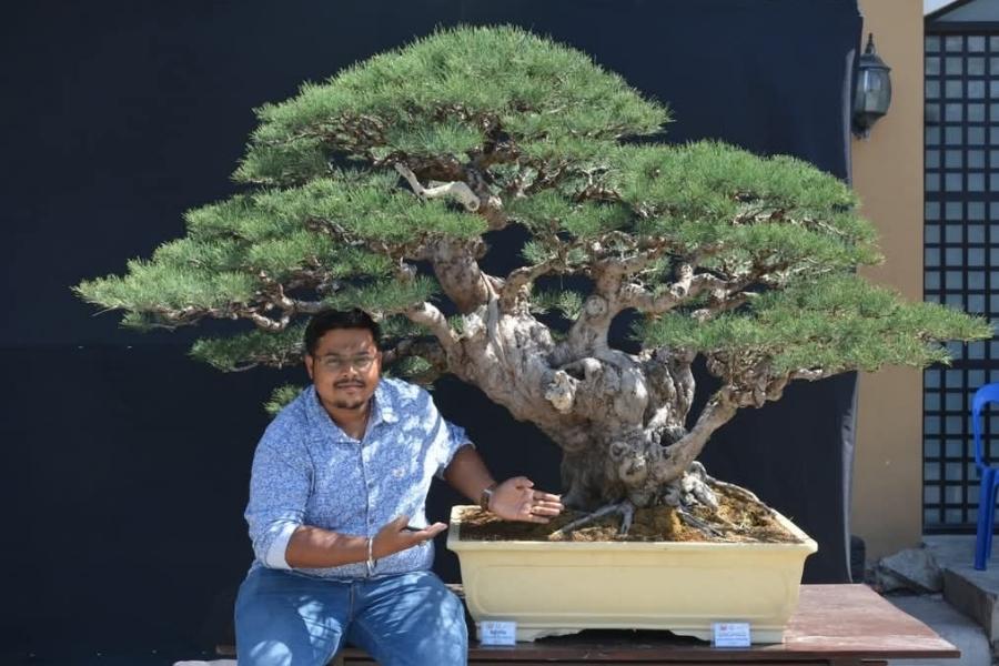 Small canvas, big dreams: In Howrah, a bonsai master is quietly trying to make trees immortal