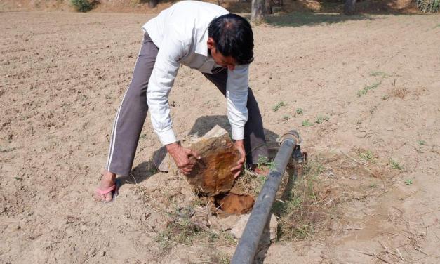Rajasthan’s farming sector is hitting rock bottom as groundwater dries up