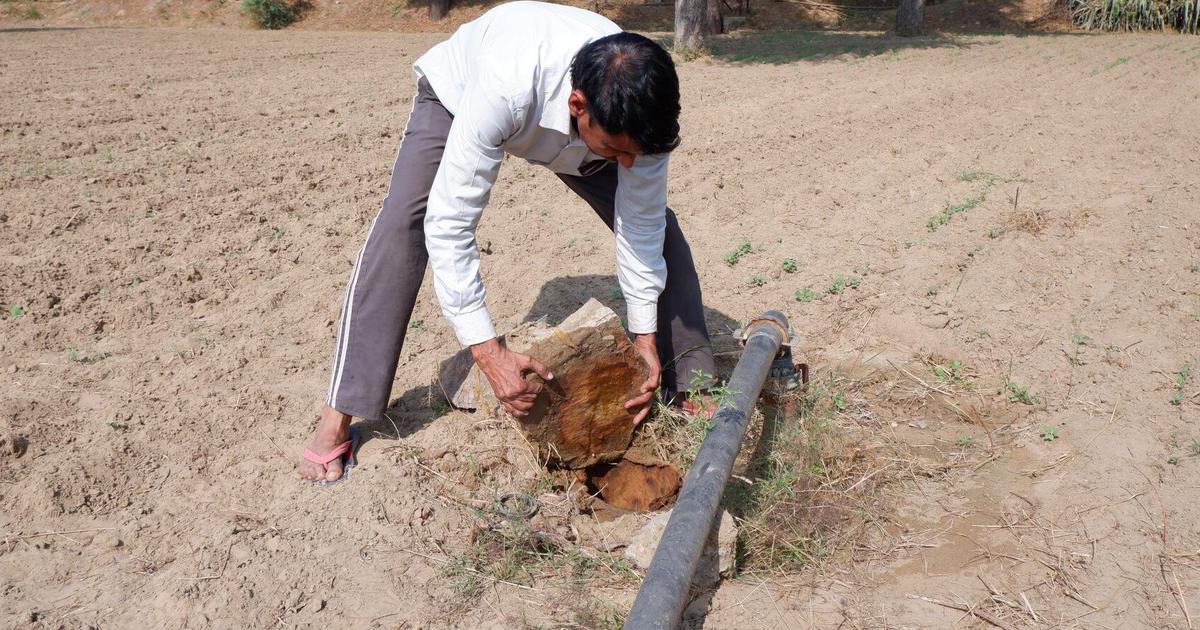 Rajasthan’s farming sector is hitting rock bottom as groundwater dries up