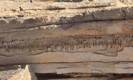 Baffling Scientists: “Strange” Million-Year-Old Rock Tunnels Found in Africa