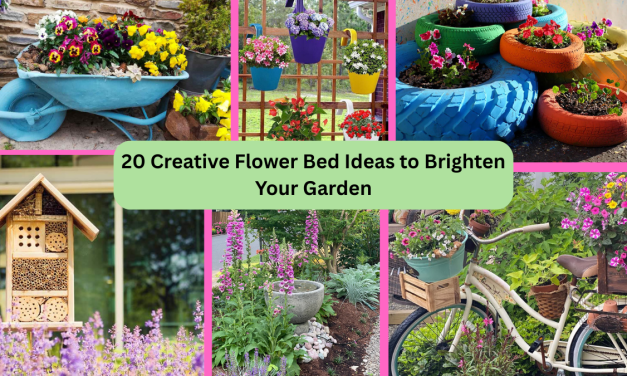 20 Creative Flower Bed Ideas to Brighten Your Garden