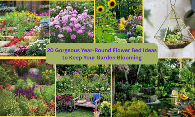 20 Gorgeous Year-Round Flower Bed Ideas to Keep Your Garden Blooming