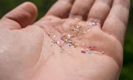 5 Easy Ways to Reduce Your Microplastic Intake