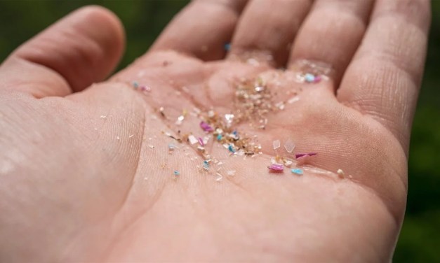 5 Easy Ways to Reduce Your Microplastic Intake