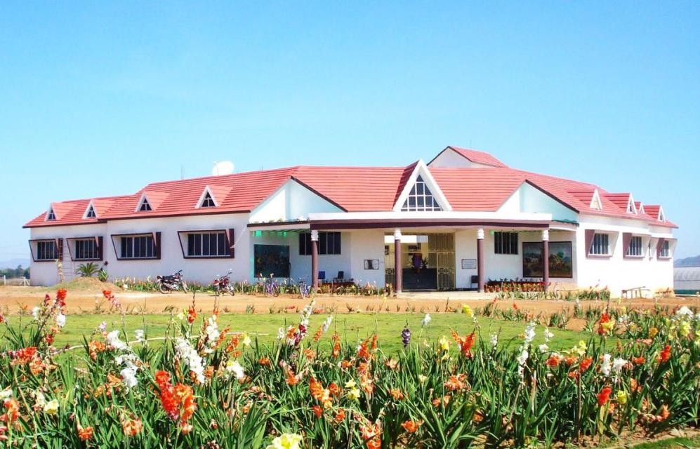 Saving traditional varieties of seeds