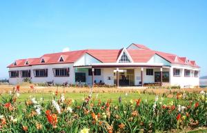 Saving traditional varieties of seeds 1