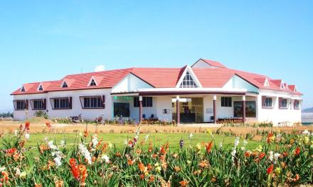 Saving traditional varieties of seeds