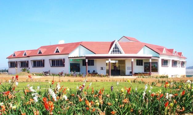 Saving traditional varieties of seeds