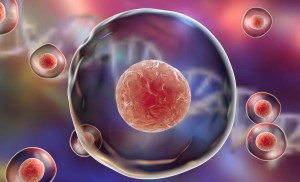 Microplastics may cause premature aging at a cellular level 1