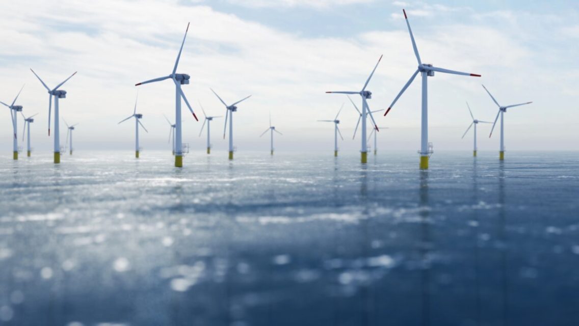 Strange fish behavior spotted — Wind turbines over the sea cause unexpected effect in America