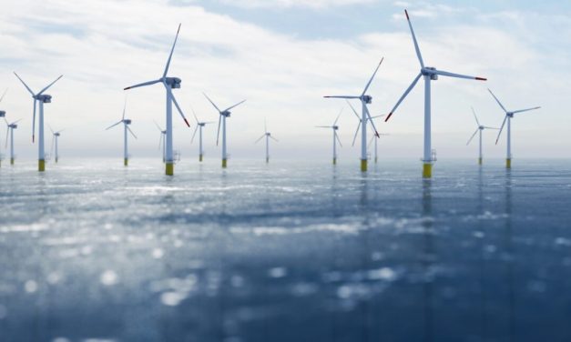 Strange fish behavior spotted — Wind turbines over the sea cause unexpected effect in America