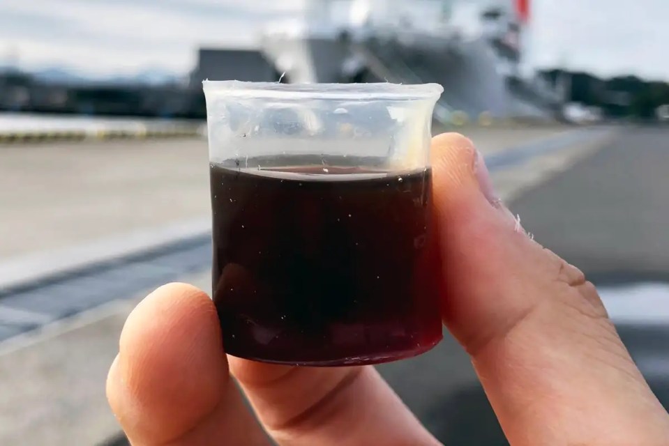 Plant-based waterproof material could replace single-use plastics