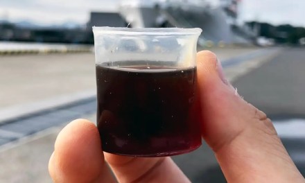 Plant-based waterproof material could replace single-use plastics