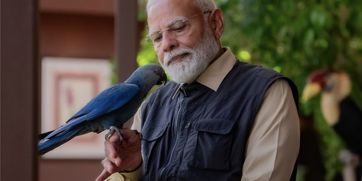At Vantara, Modi Posed With A Blue Macaw. Here’s Why It is a Red Flag