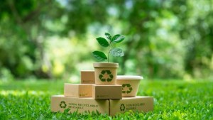 The dark side of sustainable packaging 1