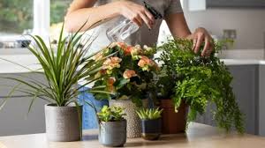 8 super plants that regrow forever after a single planting