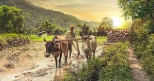 The dark side of global food systems 1