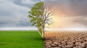 Developing countries’ climate targets at risk without enough finance from developed world: India